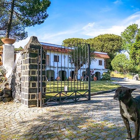 Hotel Sirio Boscotrecase Kültér fotó