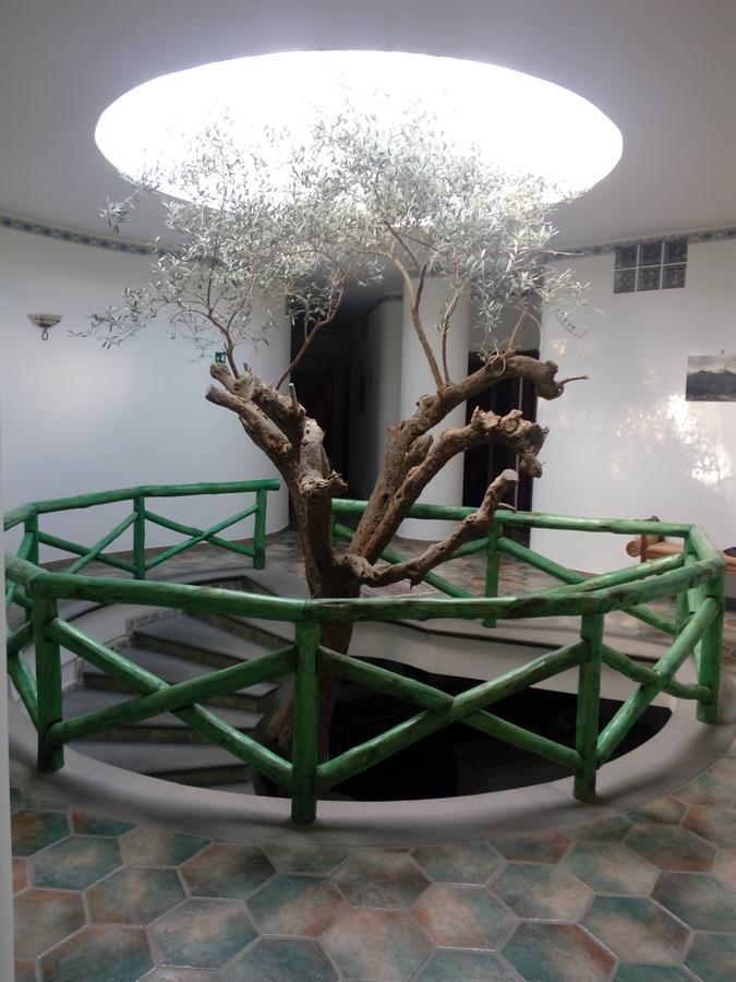 Hotel Sirio Boscotrecase Kültér fotó